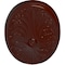 Ekena Millwork Madrid Ceiling Medallion, Hand-Painted Brushed Mahogany, 24 3/4"W x 12 1/2"H x 1 3/4"P CM24X12MABMF - alternate 2